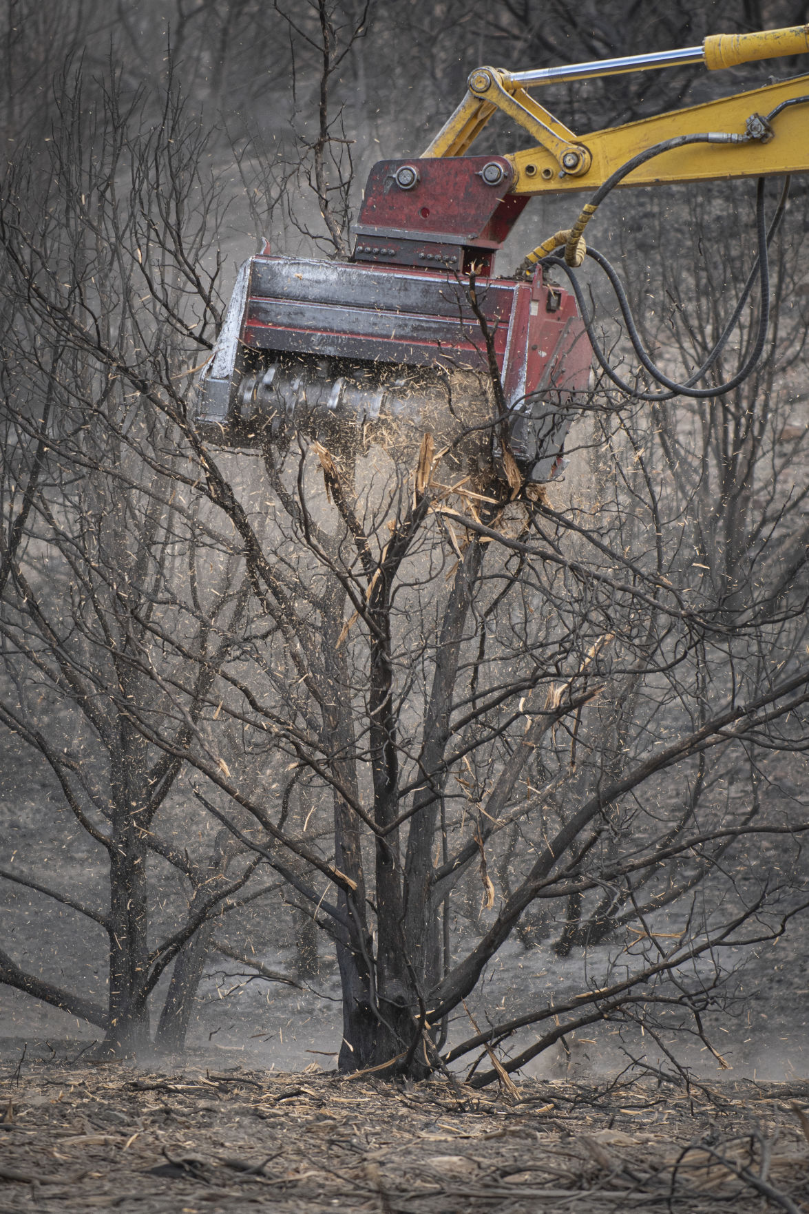 Restoration continues after South Hills Badger Fire